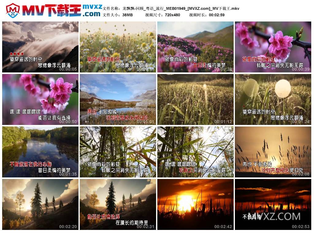龙飘飘-回顾_粤语_流行_MEB01949